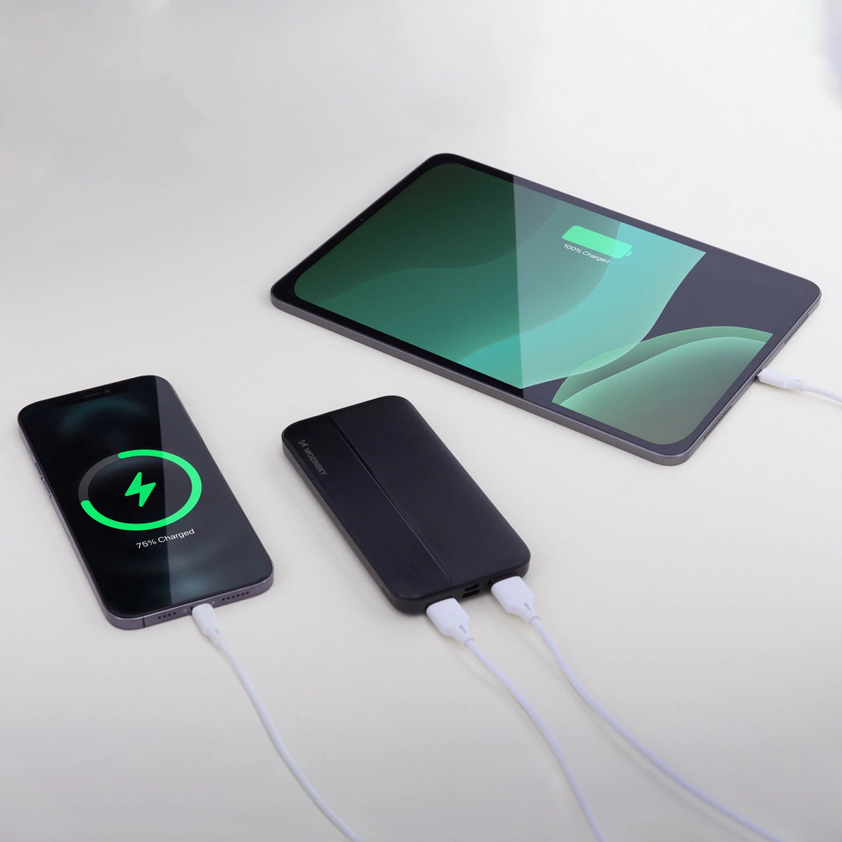 Wozinsky powerbank Li-Po 10000mAh 2 x USB sort (WPBBK1)