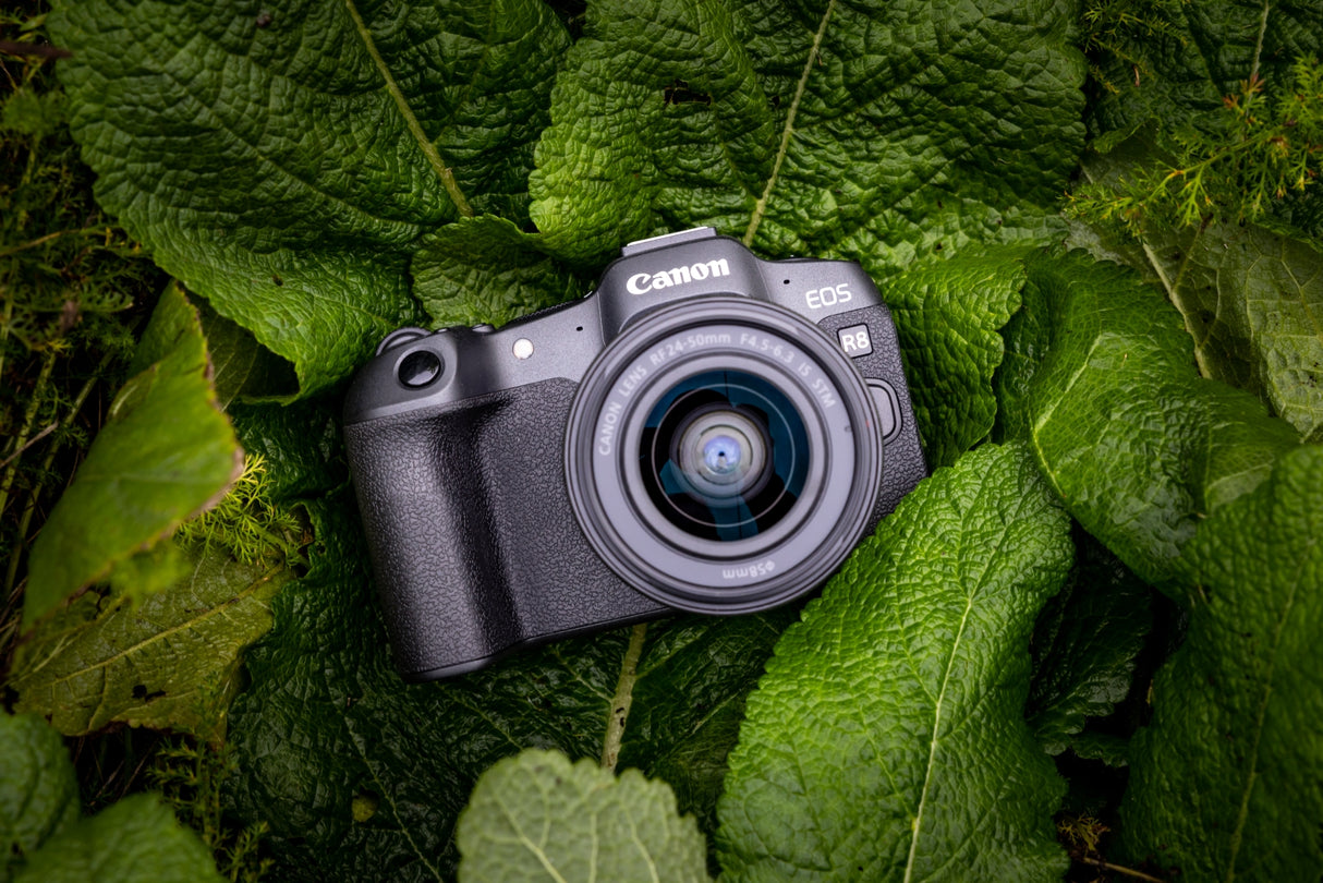 Canon EOS R8 Body + RF 24-50mm F4.5-6.3 IS STM