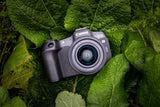 Canon EOS R8 Body + RF 24-50mm F4.5-6.3 IS STM