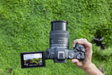 Canon EOS R8 Body + RF 24-50mm F4.5-6.3 IS STM