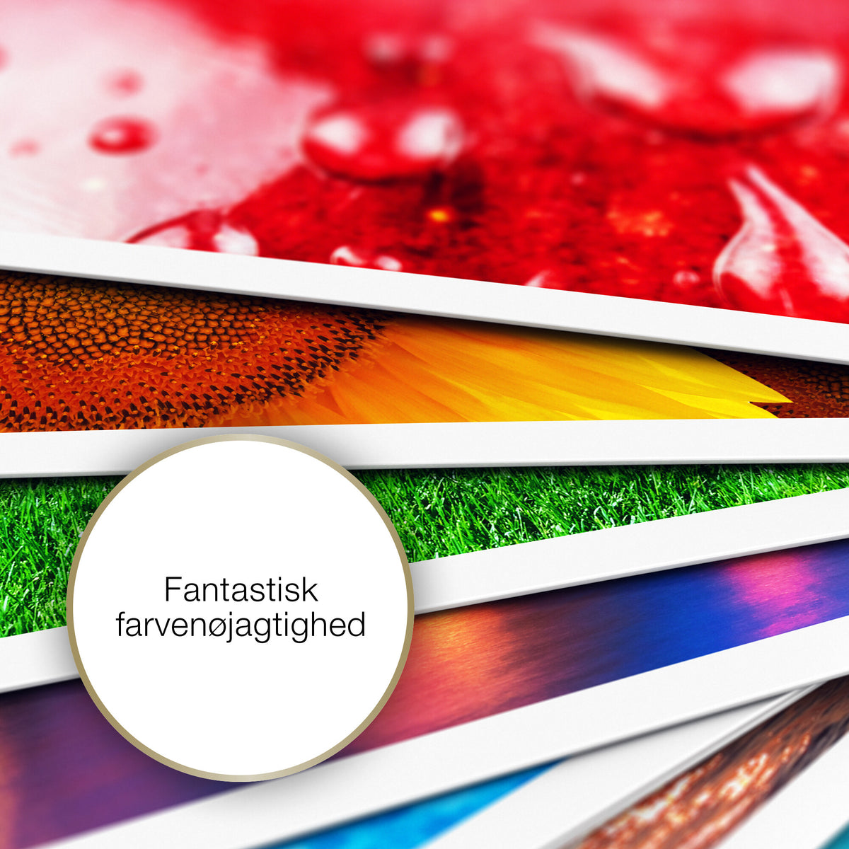 Epson A4 mat fotopapir 167 g/m2, 50 ark