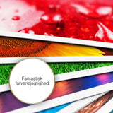 Epson A4 mat fotopapir 167 g/m2, 50 ark