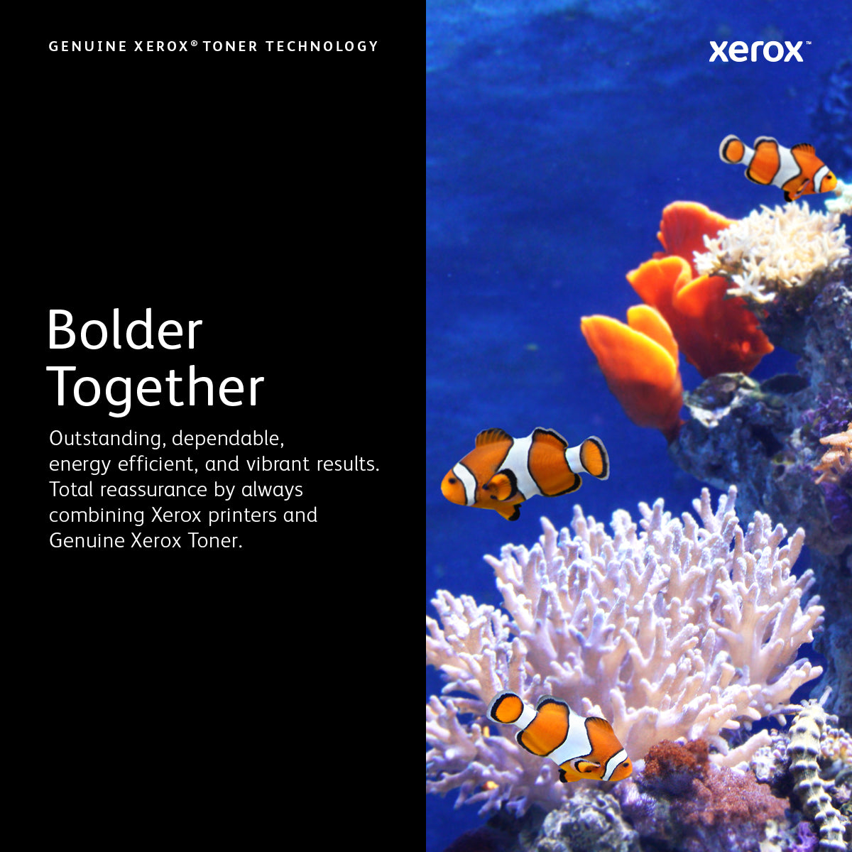 Xerox C230/C235 gul tonerpatron med standardkapacitet (1.500 sider)