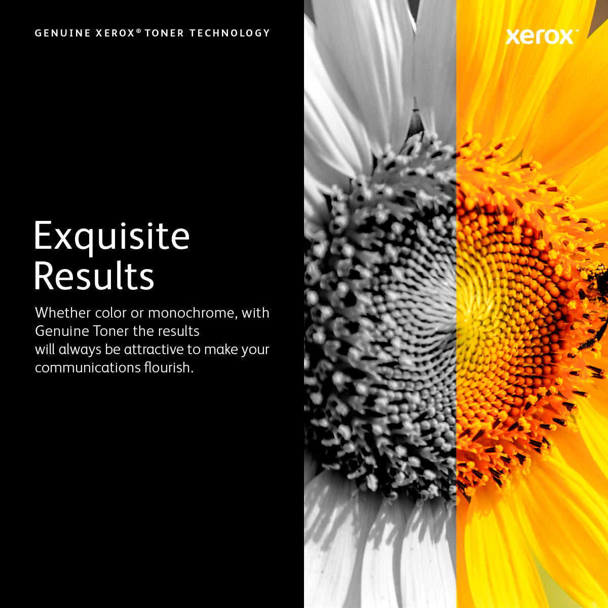 Xerox C230/C235 sort tonerpatron med standardkapacitet (1.500 sider)