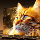 Ugreen HDMI-kabel 8K 60Hz 1m - sort