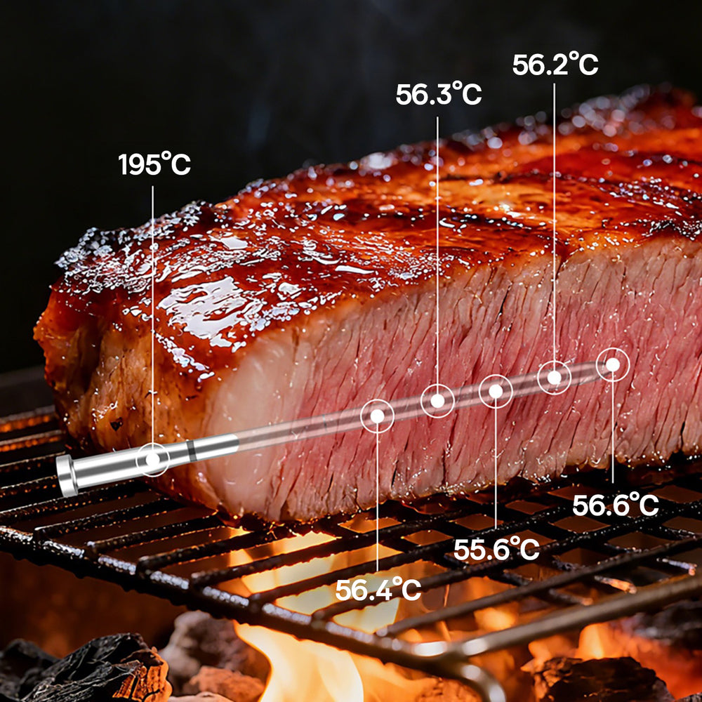 Meatmeet X Pro Kitchen Thermometer with Bluetooth/WiFi App for Grill, Oven, Smoker - Black