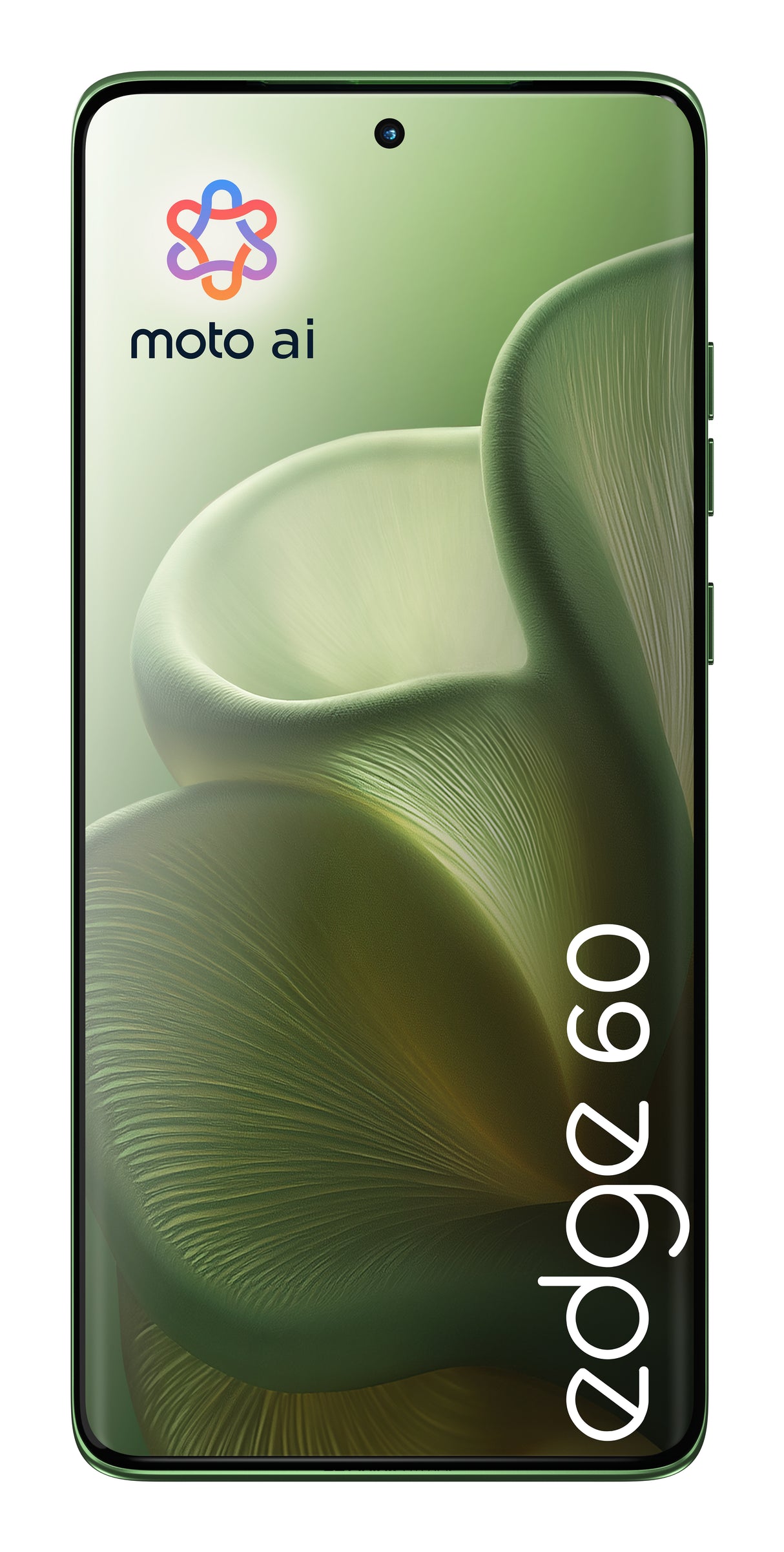 Motorola Edge 60 12GB RAM 512GB Shamrock Green DE