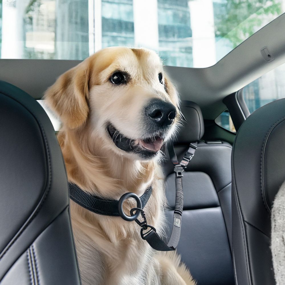 Spigen PS100 Universal Pet Seat Belt - sort