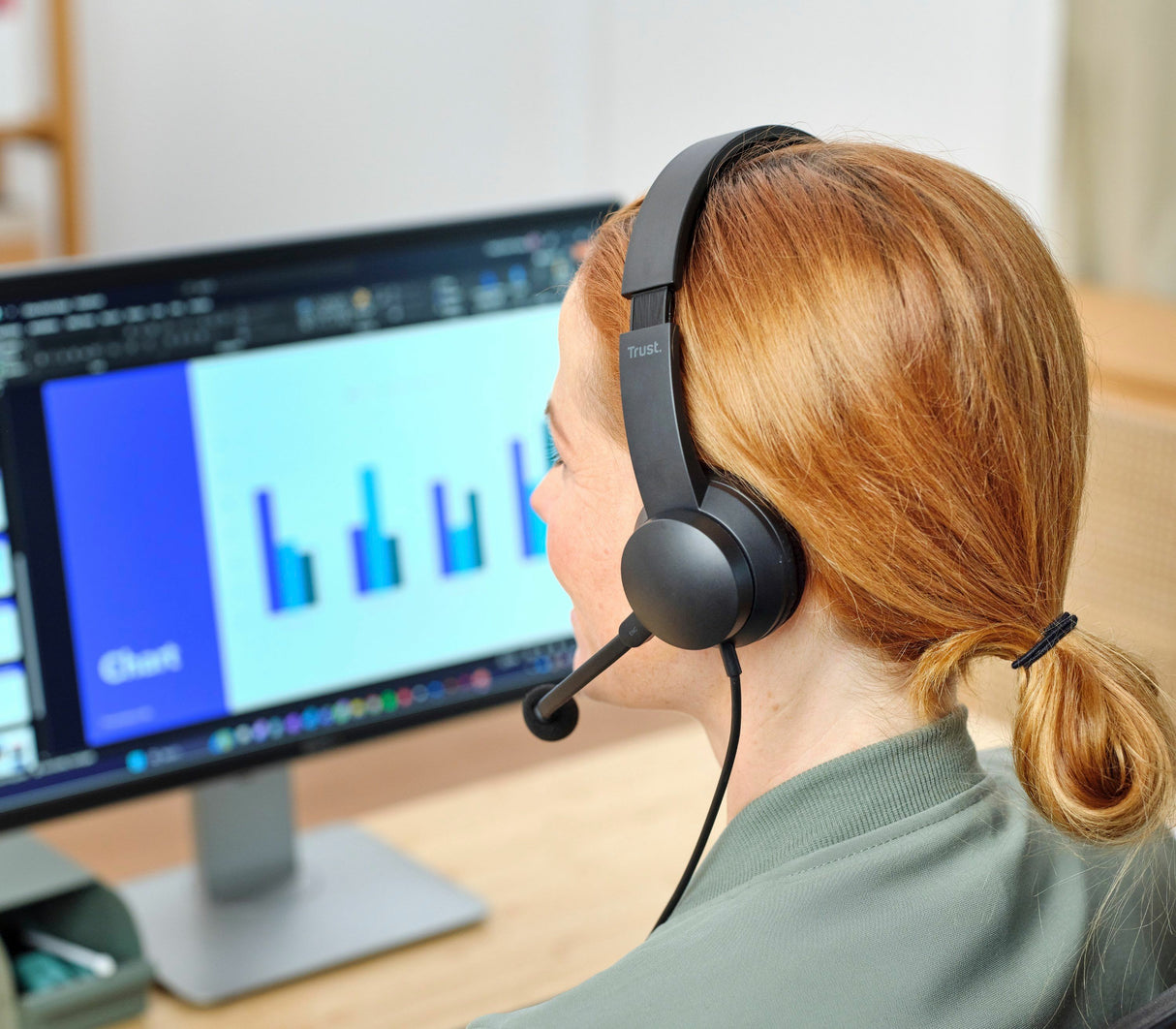 Trust HS-260 Headset Ledningsført Halsbånd Kontor/Callcenter USB Type-A Sort