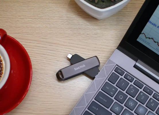 SanDisk Extreme PRO Dual Drive 1TB USB-C 3.2 Gen 2 USB stick Sort