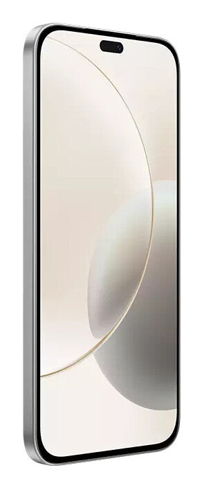 Honor 400 Lite 17 cm (6.7") Dual SIM MagicOS 9.0 5G USB Type-C 8 GB 256 GB 5230 mAh Grå