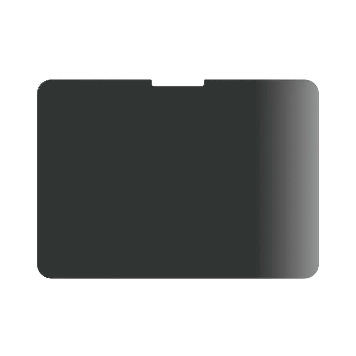 Privacy Screen Protector iPad Pro 11'' (2024) Ultra-Wide Fit
