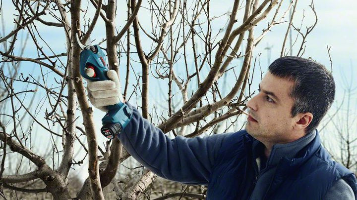 Bosch Pro Pruner Professional batteridreven græssaks 2,5 cm 12 V Lithium-Ion (Li-Ion) Blå