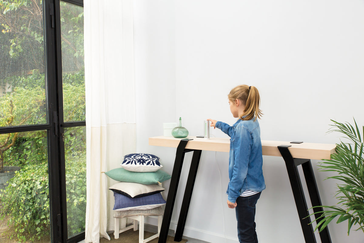 Netatmo Smart Home Weather Station indoor vejrstation
