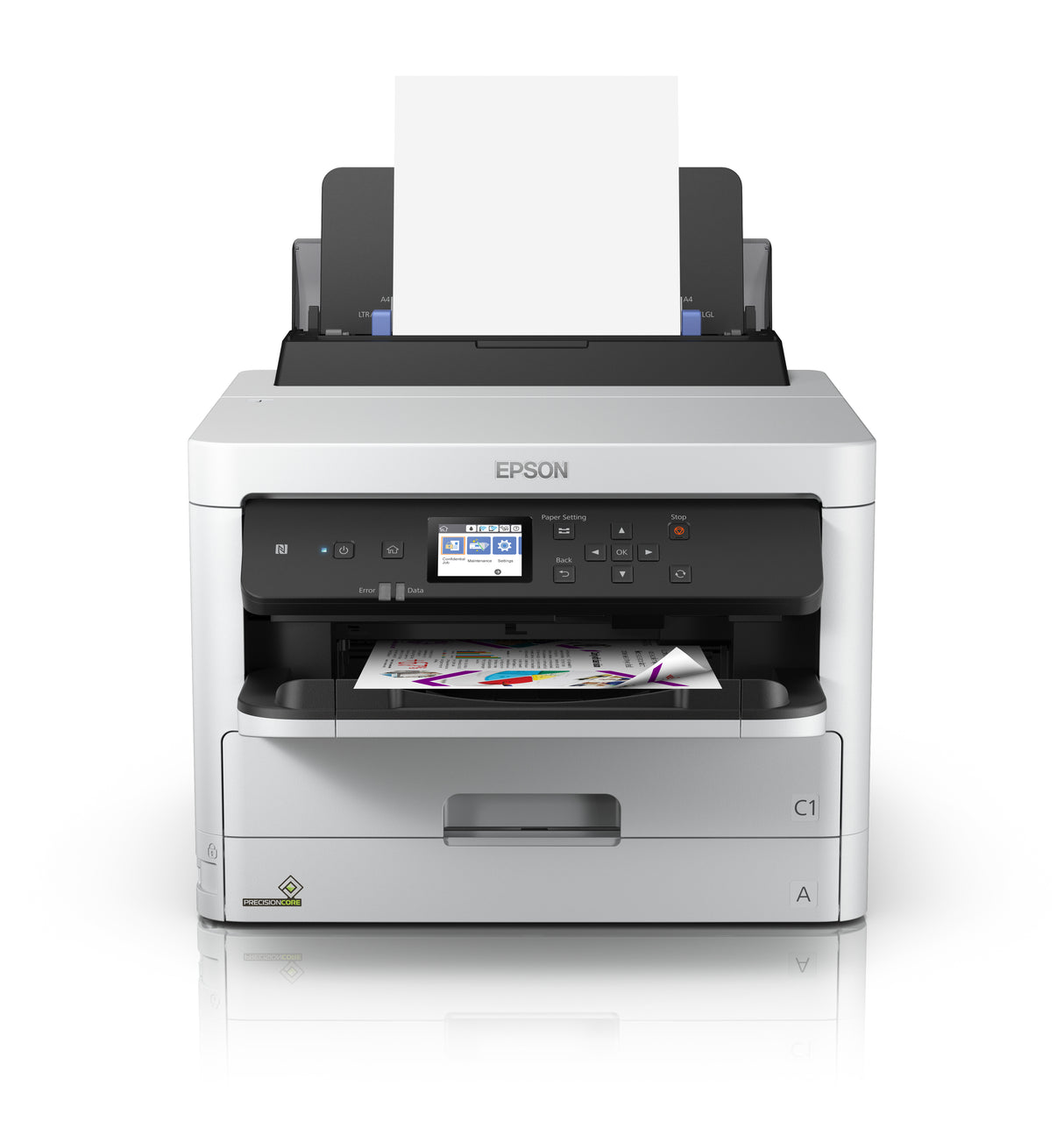 Epson T01C100 blækpatron 1 stk Original Højt (XL) udbytte Sort
