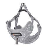 Dogs walking set leash 1,5m+ hundesko (lysgrå)