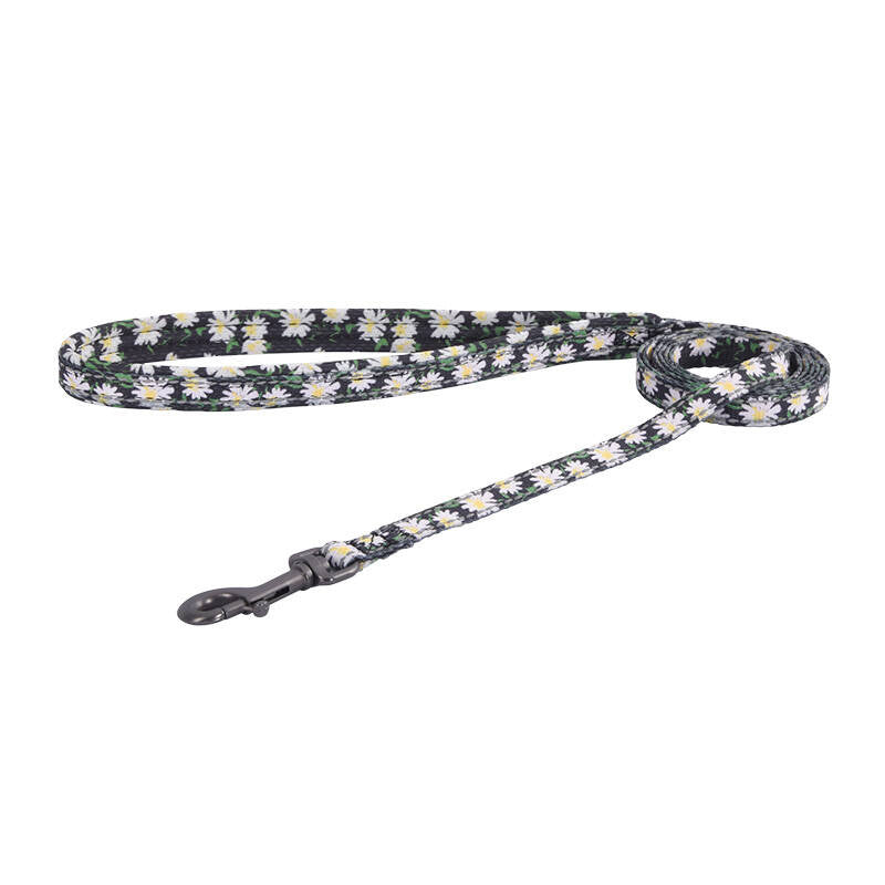 Dogs walking set leash 1,5m+harness til hunde (multifarvet)