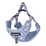 Dogs walking set leash 1,5 m + hundesko (lysblå)
