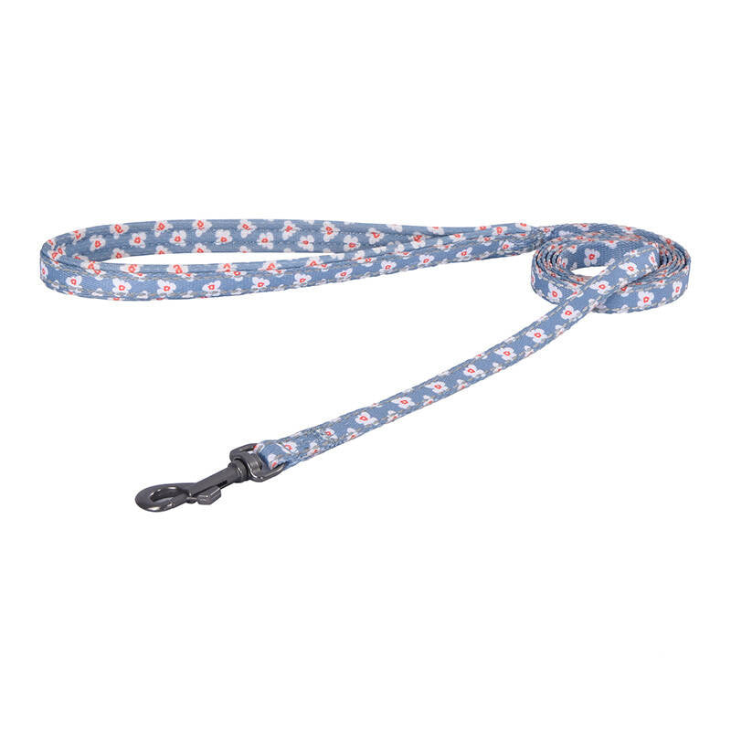 Dogs walking set leash 1,5 m + hundesko (lysblå)