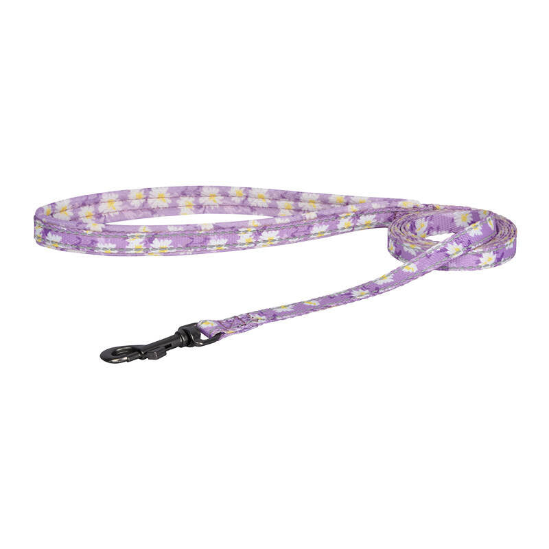 Dogs walking set leash 1,5m+forpligtelse til hunde (rosa)