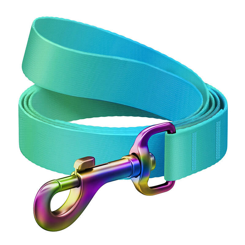 WAUDOG-gradient nylon hundeslæde, 20 mm bred, 122 cm lang blå