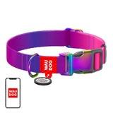 Waudog gradient nylon hundehalsbånd med QR-kode, lilla, størrelse L