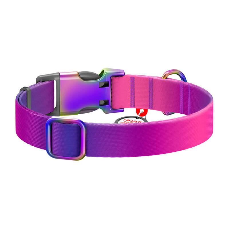 Waudog gradient nylon hundehalsbånd med QR-kode, lilla, størrelse M