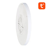 Smart loftslampe 30cm WiFi/Bluetooth 16M RGBCW Gosund LB12 1920lm Tuya + fjernbetjening.