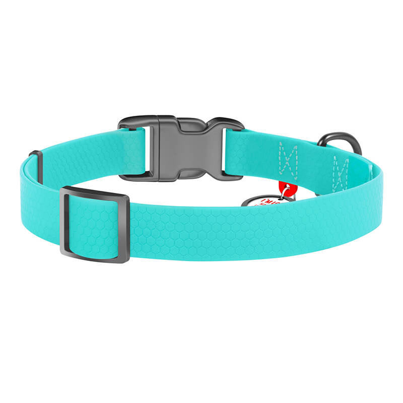 Vandtæt glødende hundehalsbånd med QR-pas WAUDOG 40 mm bred, 46-70 cm lang