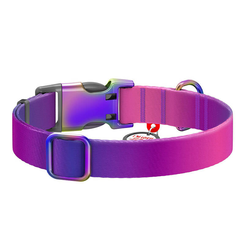 Hundehalsbånd af nylon med QR-kode WAUDOG 15 mm bredt, 25-35 cm langt lilla