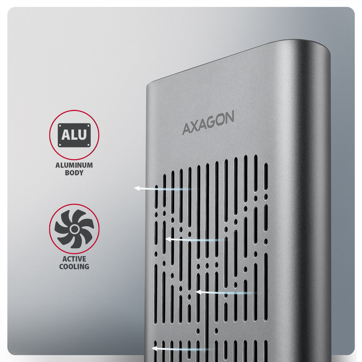 Axagon EEM2-20GD drev dockingstation USB 3.2 Gen 2 (3.1 Gen 2) Type-C Sort, Grå