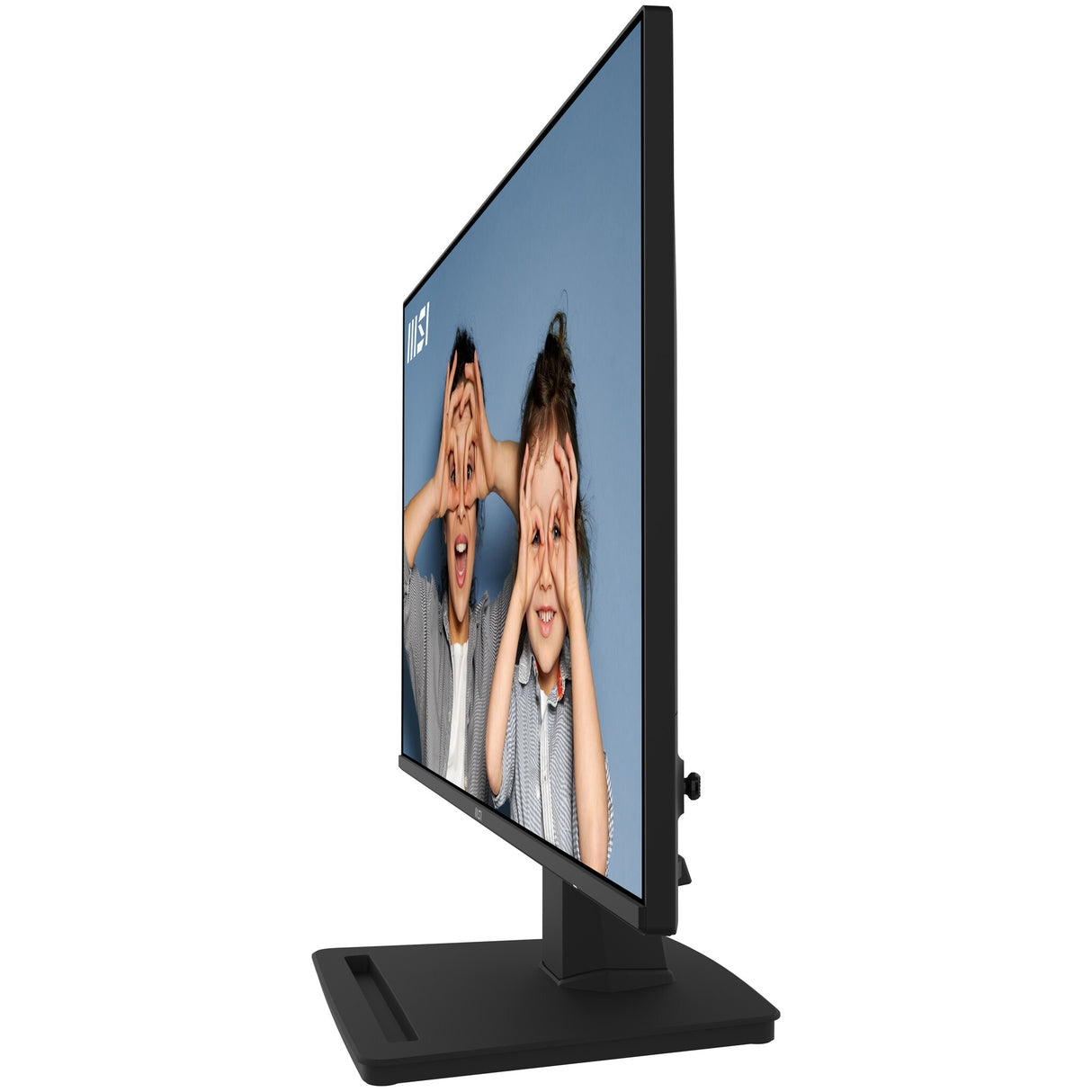 MSI PRO MP252 computerskærm 62,2 cm (24.5") 1920 x 1080 pixel Fuld HD LED Sort