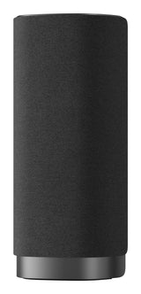 TCL Z100-METAL Metallic 1.1.1 kanaler 170 W
