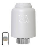 MOES ZTRV-PJ-601-MS Smart termostathoved