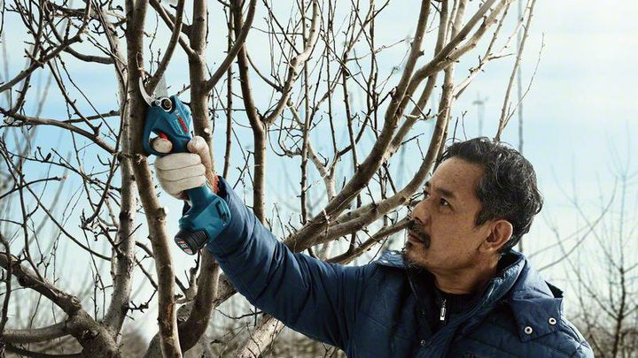Bosch Pro Pruner Professional batteridreven græssaks 2,5 cm 12 V Lithium-Ion (Li-Ion) Blå