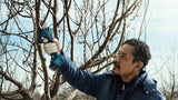 Bosch Pro Pruner Professional batteridreven græssaks 2,5 cm 12 V Lithium-Ion (Li-Ion) Blå