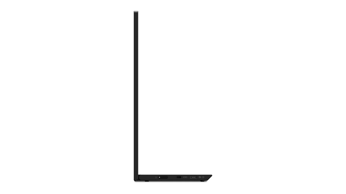 Lenovo ThinkVision M15 LED display 39,6 cm (15.6") 1920 x 1080 pixel Fuld HD Sort