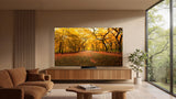 TCL 55C8L SQD-Mini LED Google TV