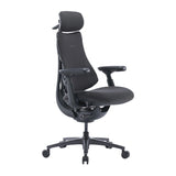 LiberNovo Omni Pro 48 cm Ergonomisk stol (Grafit)