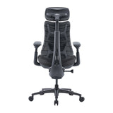 LiberNovo Omni Pro 48 cm Ergonomisk stol (Grafit)