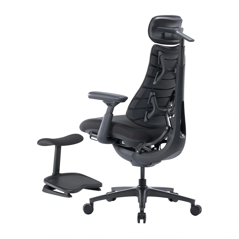 LiberNovo Omni Pro 48 cm Ergonomisk stol (Grafit)