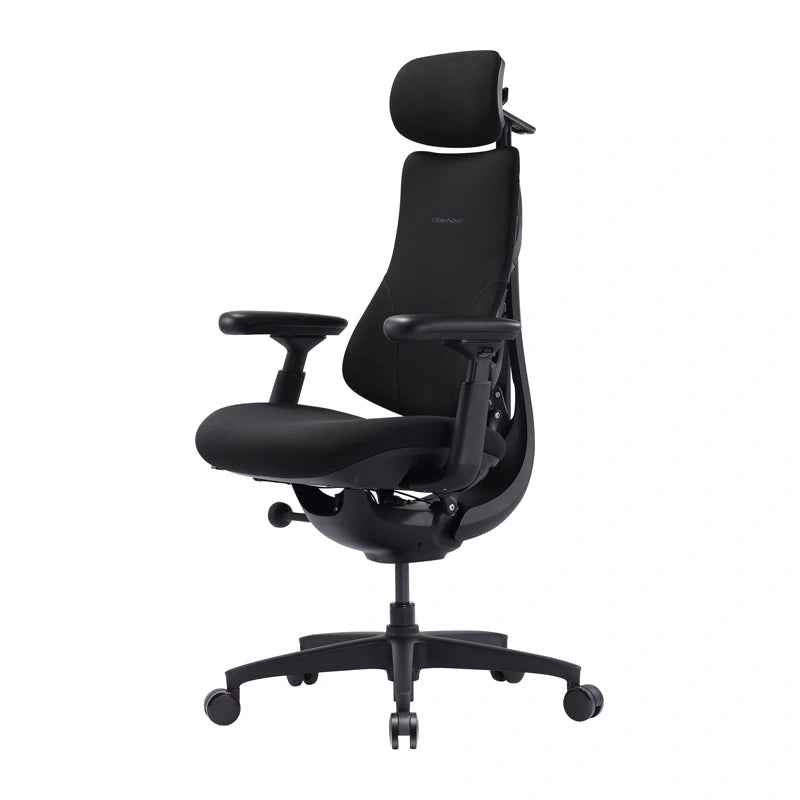 LiberNovo Omni SE 48 cm Ergonomic Chair (Black)