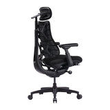 LiberNovo Omni SE 48 cm Ergonomic Chair (Black)