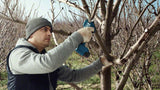 Bosch Pro Pruner Professional batteridreven græssaks 2,5 cm 12 V Lithium-Ion (Li-Ion) Blå
