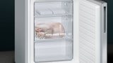 Siemens iQ500 KG36EAICA køle-/fryseskab Fritstående 308 L Rustfrit stål