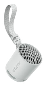 Sony SRS-XB100 Højttaler Grå