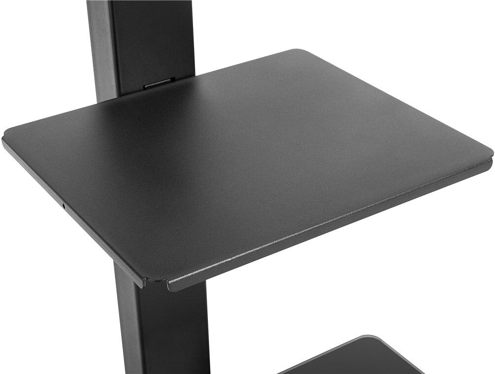 TV Floor Stand Basic (Size L), Black - for TVs and monitors between 37 and 70 inches (94-178 cm)