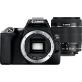 Canon EOS 250D 24.1Megapixel Sort Sort Digitalkamera