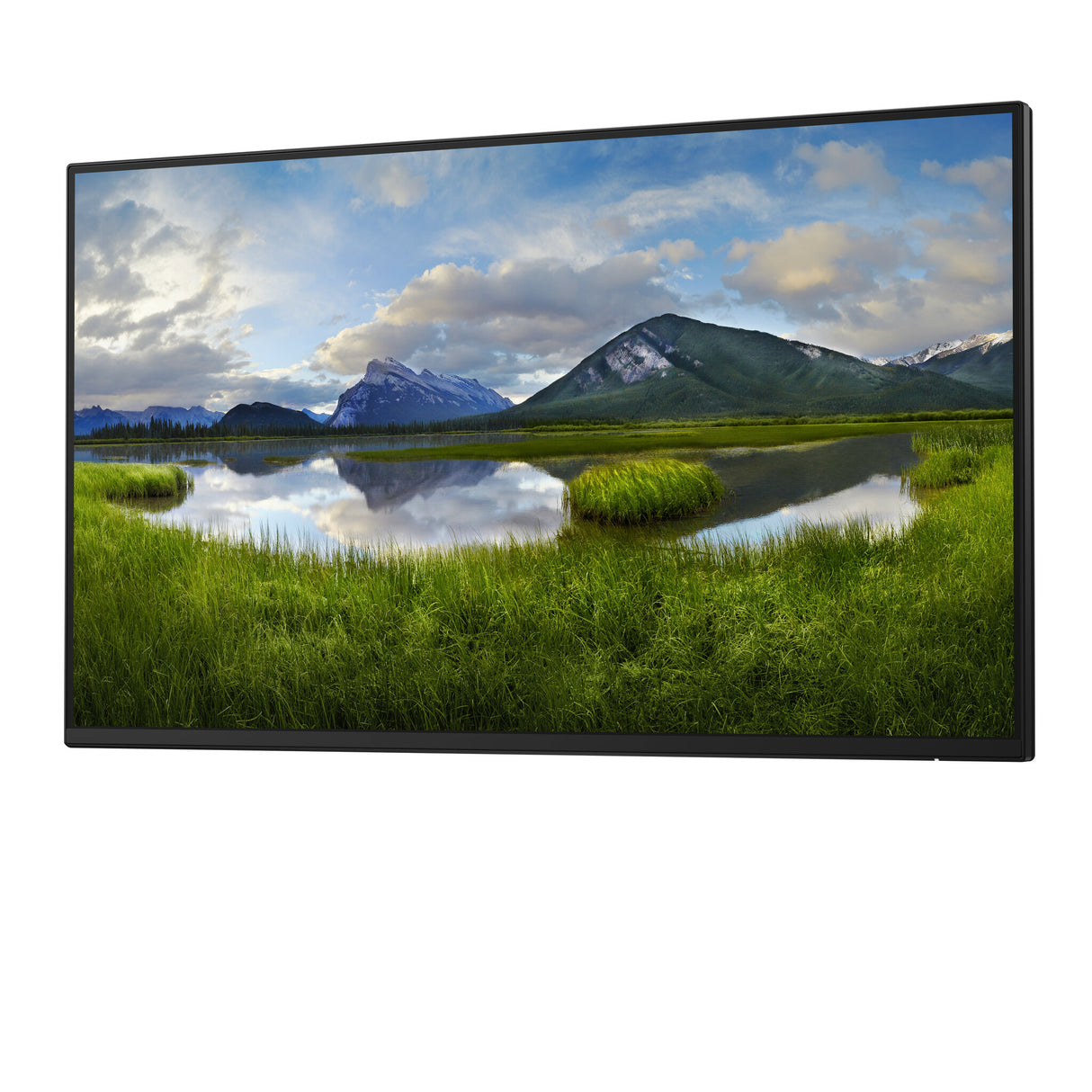 DELL Pro Plus P2425HE_WOST computerskærm 61 cm (24") 1920 x 1080 pixel Fuld HD LCD Sort