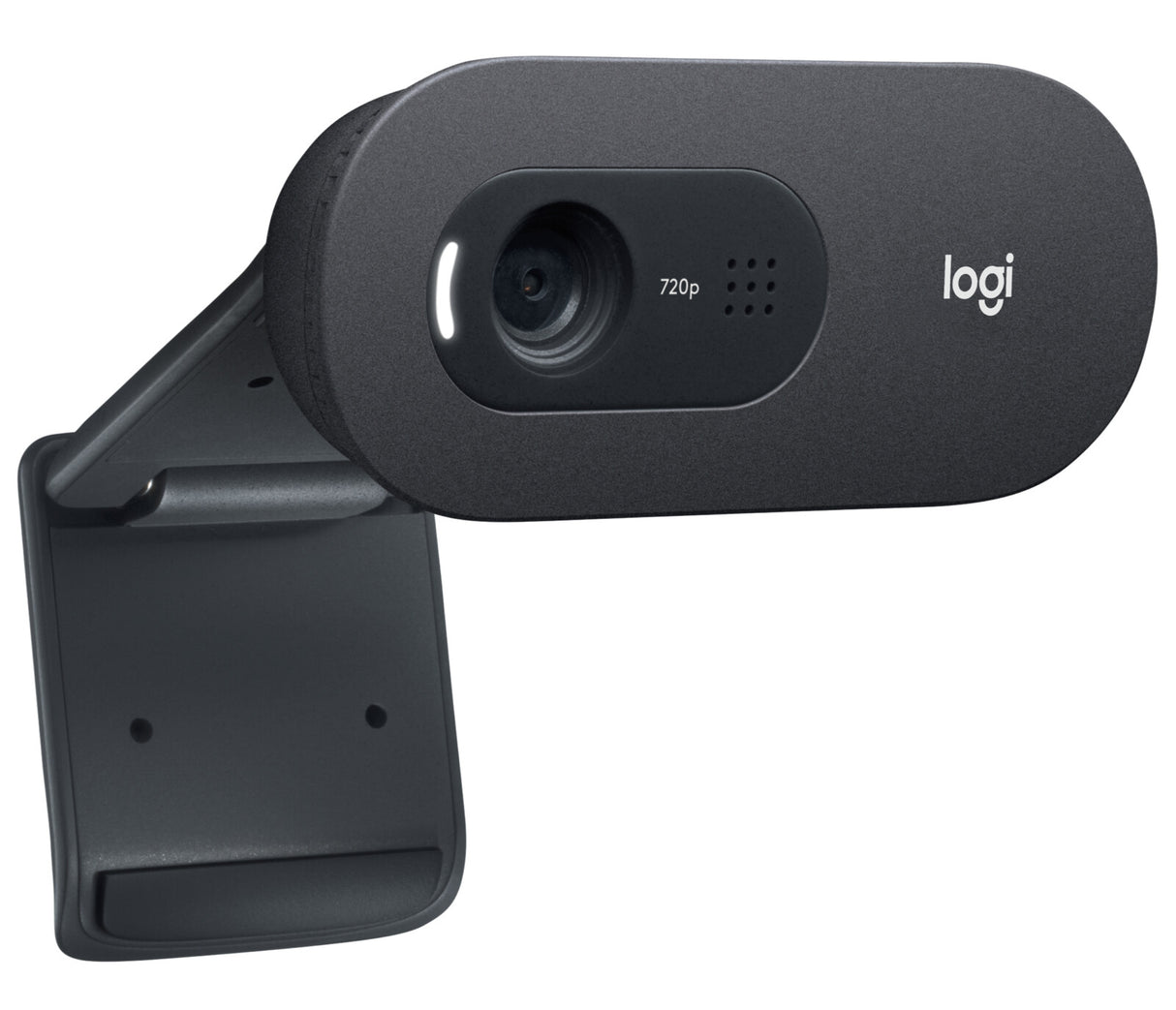 Logitech C505e webcam 1280 x 720 pixel USB Grafit